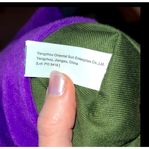 Edgar Allan Poe Plush Raven Gag Gift English Teacher Professor Little Thinker - Picture 4 of 8